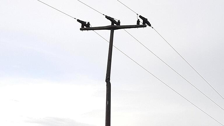 Mastbruch: Bei Laub hat der Gewittersturm am Freitag zu Schäden an den Überlandleitungen und zu einem Stromausfall geführt.