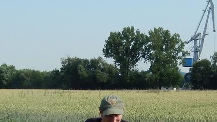 Winterweizen, vorne dunkel und mickrig, hinten goldgelb und prächtig: Matthias Rippstein in einem geschädigten Feld. Winterweizen, vorne dunkel und mickrig, hinten goldgelb und prächtig: Matthias Rippstein in einem geschädigten Feld.