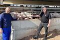 Landwirt Martin Stamm (links) und Kreisobmann Reinhard Wolz (rechts) informieren über die prekäre Lage der Tierhaltung im Landkreis.&nbsp;