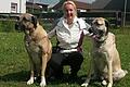 Grabiele Störmer mit zwei Kangal-Hunden.