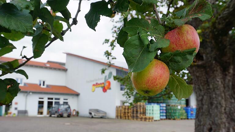 Apfel und Apfelsaft sollen beim neuen Projekt der Kreuzbergallianz, das den Titel 'Ortsaft' trägt, eine wichtige Rolle spielen. Foto: Marion Eckert       -  Apfel und Apfelsaft sollen beim neuen Projekt der Kreuzbergallianz, das den Titel 'Ortsaft' trägt, eine wichtige Rolle spielen. Foto: Marion Eckert