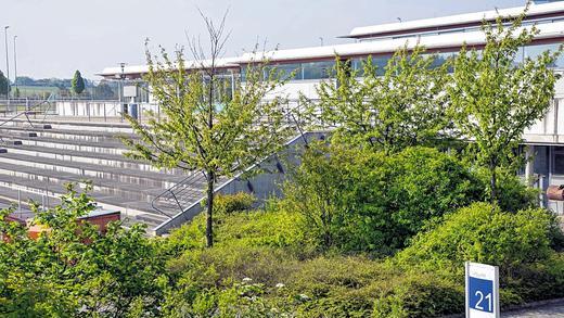 Durch den Neubau des Sportzentrums auf dem Hubland-Campus verbesserten sich die Trainingsmöglichkeiten für die wachsende Zahl an Sportstudierenden in Würzburg immens.