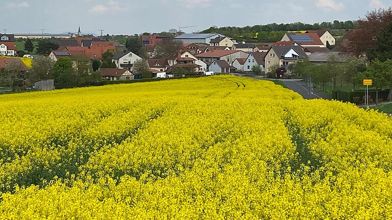 In Dürrnhof (Archivfoto) will ein Investor eine&nbsp;Freiflächen-Photovoltaikanlage errichten. Erst nachdem ein Kriterienkatalog verabschiedet ist, soll über dieses und weitere zukünftige Projekte entschieden werden.