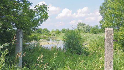 Trügerisches Idyll: An diesem Ort ein paar Kilometer außerhalb von Riga befand sich das KZ Jungfernhof, in das am 1. Dezember 1941 Juden aus Würzburg eingeliefert wurden.