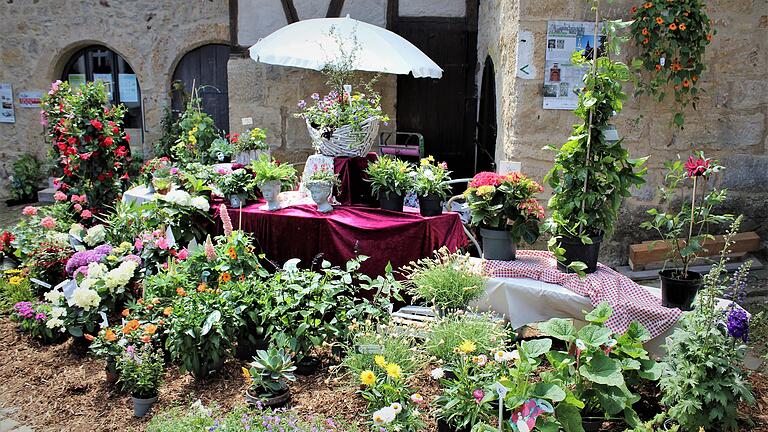 Der Blumenmarkt 'Fleurs &amp; Flair' verwandelt die Ostheimer Kirchenburg wieder in ein Blütenmeer.