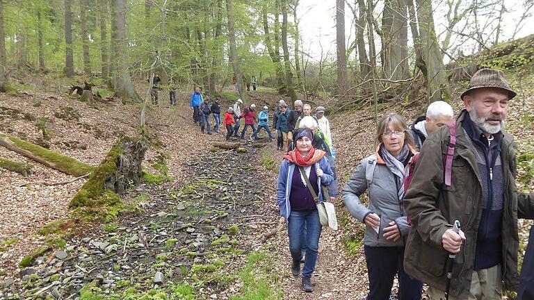 Die Exkursionsteilnehmer auf einem der Wanderwege im Nationalpark Kellerwald-Edersee mit Erich Perchermeier (vorne rechts), dem stellvertretenden Kreisvorsitzenden vom Bund Naturschutz.