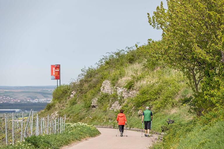 Die Iphöfer Weinentdeckerrunde ist ein herrlicher Spaziergang zu den Wein-Höhepunkten der Stadt. Einfach mal in die Natur eintauchen und vom Alltag abschalten und dabei noch die Wein-Hotspots in den herrlichen Weinbergen rund um Iphofen erleben, das bietet die Iphöfer Weinentdeckerrunde. Die Iphöfer Weinentdeckerrunde ist ein herrlicher Spaziergang zu den Wein-Höhepunkten der Stadt. Einfach mal in die Natur eintauchen und vom Alltag abschalten und dabei noch die Wein-Hotspots in den herrlichen Weinbergen rund um Iphofen erleben, das bietet die Iphöfer Weinentdeckerrunde.