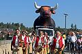 Angeführt von den Thierbach-Musikanten aus Eichelsee zog die 'Ochsenparade' zum Auftakt des Ochsenfests in der Ochsenfurter Altstadt ein.