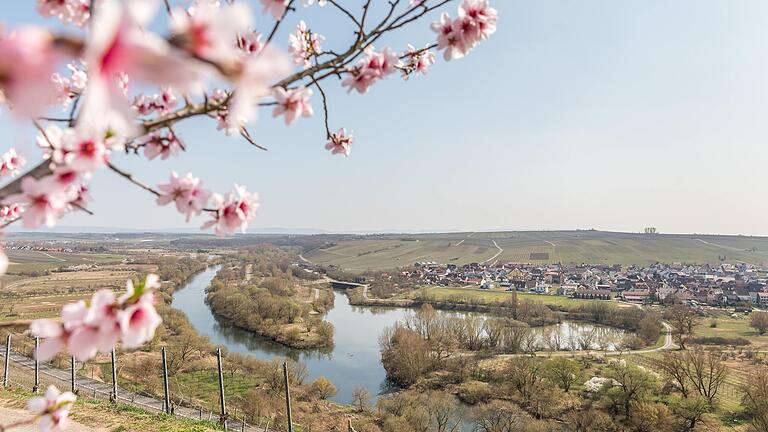 Idyll an der Mainschleife: Das beschauliche Nordheim ist Tatort für einen Krimi geworden.