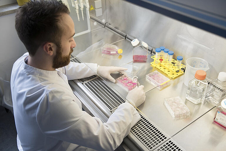 Hautmodelle wie diese werden im Fraunhofer-Translationszentrums für Regenerative Therapien zum Testen von Wirkstoffen und Arzneimitteln verwendet. Hautmodelle wie diese werden im Fraunhofer-Translationszentrums für Regenerative Therapien zum Testen von Wirkstoffen und Arzneimitteln verwendet.