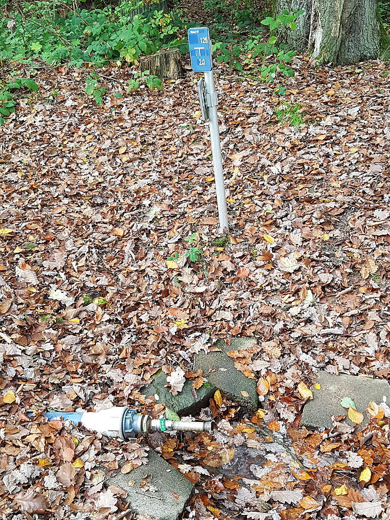 Der Auslauf/Überlauf am ehemaligen Hochbehälter Bischbrunn wird heute als Brauchwasser für die Bewässerung des Sportplatzes und für landwirtschaftliche Zwecke genutzt. Das Wasser kommt von der Palmsquelle aus dem Staatswald