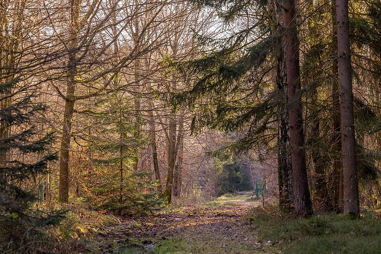 Eine Etappe der Tour 'Schwarzenfelser Sonnenseite' führt durch den Wald. Eine Etappe der Tour 'Schwarzenfelser Sonnenseite' führt durch den Wald.
