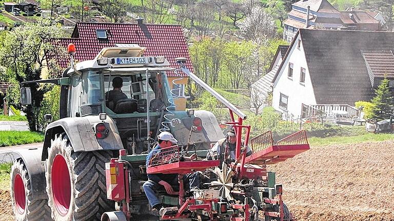 War früher nicht vorstellbar: das Pflanzen neuer Reben im Fußgänger-Tempo. Moderne Pflanztechnik erleichtert heute dank maschineller Logistik das Setzen &ndash; hier der Gelben Muskateller Reben.