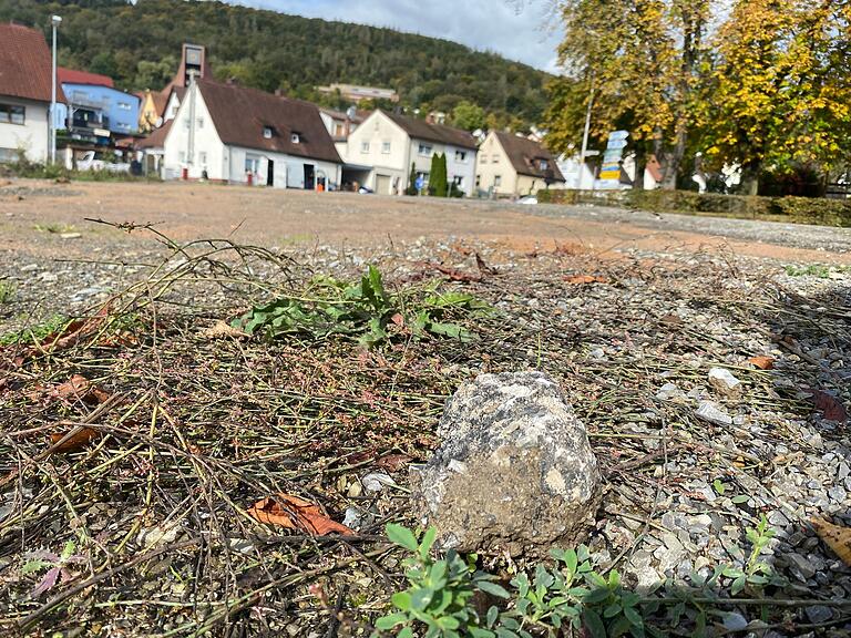 Dieses zuletzt als Lagerplatz des Glasfaserbaus genutzte Areal an der Ruppertshüttener Straße soll in eine Refugium für Trockenheit liebende Arten verwandelt werden. Dieses zuletzt als Lagerplatz des Glasfaserbaus genutzte Areal an der Ruppertshüttener Straße soll in eine Refugium für Trockenheit liebende Arten verwandelt werden.