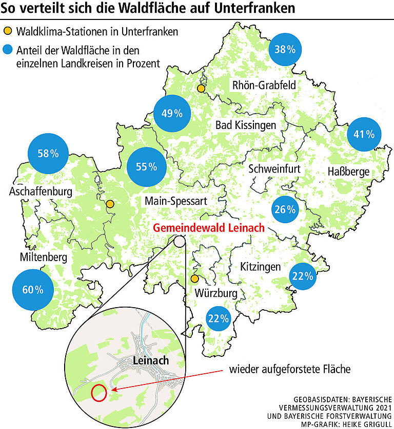 Hotspot Würzburg: So will eine Försterin das Waldsterben stoppen Hotspot Würzburg: So will eine Försterin das Waldsterben stoppen