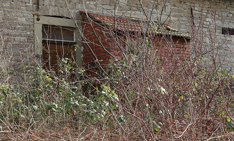 Der Hintereingang über die Gartenseite: Dornenreiches Gestrüpp bildet hier eine natürliche Barriere.