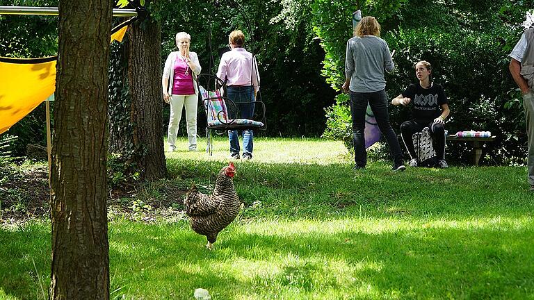 Auch die Hühner mischten sich unter die Gartenfreunde.