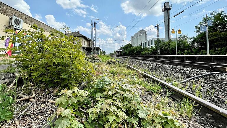 Nichts rollt hier mehr: Gleis 1 in Zeil am Main ist ebenso mausetot wie der dazugehörige Bahnsteig direkt vor den Bahnhofsgebäuden. Warum das so ist, kann die Bahn selbst nicht erklären.