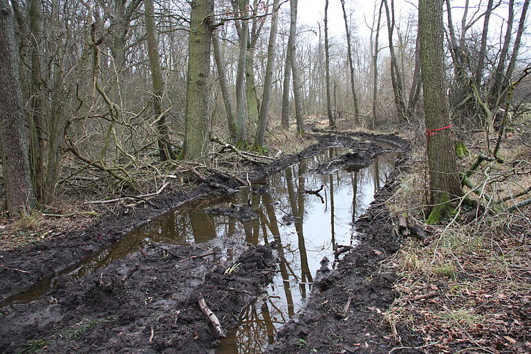 Annähernd einen halben Meter tief sind an manchen Stellen die in den Waldboden gefahrenen Spuren. Aufgrund des vielen Regens sind diese jetzt voll Wasser gelaufen und bilden kleine Tümpel. Annähernd einen halben Meter tief sind an manchen Stellen die in den Waldboden gefahrenen Spuren. Aufgrund des vielen Regens sind diese jetzt voll Wasser gelaufen und bilden kleine Tümpel.