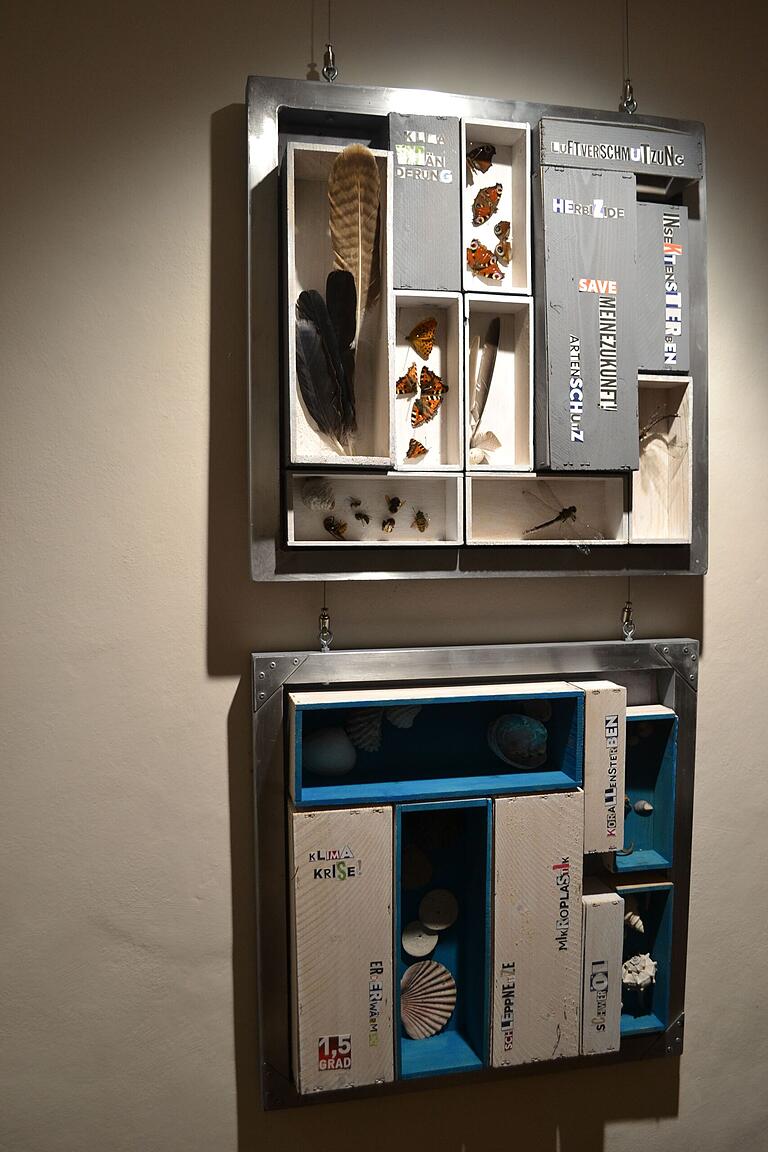 Eine ganz besondere Ausstellung 'Im Rahmen' ist im Franck-Haus in Marktheidenfeld. Wirklich sehenswert