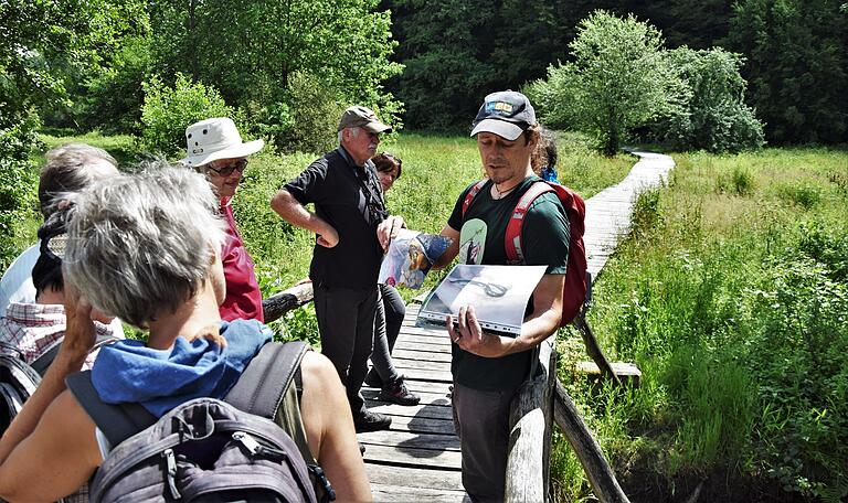 Das Naturschutzgebiet Hafenlohrtal lässt sich gut auf dem von der AGH angelegten 'Bohlenweg' erkunden. Das Naturschutzgebiet Hafenlohrtal lässt sich gut auf dem von der AGH angelegten 'Bohlenweg' erkunden.