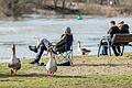 Endlich Frühling! Viele Menschen  verbringen den Samstag 20.02.21 im Freien und genießen die Sonnenstrahlen wie hier am Main in Randersacker.