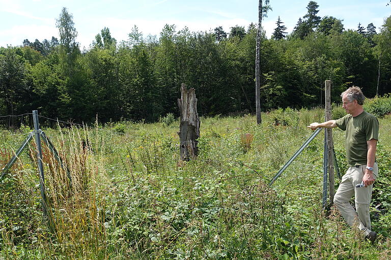 Eine hohe Artenvielfalt an Vögeln und Insekten weisen buschige Übergänge vom landwirtschaftlich bestellten Feld zum eigentlichen Wald auf. In diesem Stück wachsen Spitzahorn, Kirsche, Nussbaum, Berghorn und andere Gehölze hinter Sanddorn, Kornelkirsche, Hasel, Felsenbirne, Weißdorn, Heckenrose, Wildapfel und anderem Buschwerk. Auch hier muss zum Schutz die Konkurrenzflora eingedämmt werden. Eine hohe Artenvielfalt an Vögeln und Insekten weisen buschige Übergänge vom landwirtschaftlich bestellten Feld zum eigentlichen Wald auf. In diesem Stück wachsen Spitzahorn, Kirsche, Nussbaum, Berghorn und andere Gehölze hinter Sanddorn, Kornelkirsche, Hasel, Felsenbirne, Weißdorn, Heckenrose, Wildapfel und anderem Buschwerk. Auch hier muss zum Schutz die Konkurrenzflora eingedämmt werden.