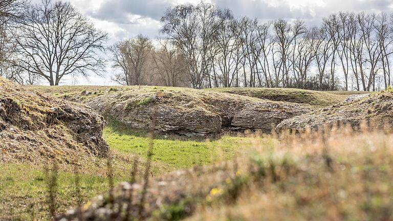 Die Sulzheimer Gipshügel sind eines der Gebiete, deren Pflege der Landschaftspflegeverband Landkreis Schweinfurt übernommen hat.&nbsp;