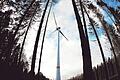 Auf dem Gemündener Stadtgebiet könnten in der Gemarkung Seifriedsburg Windkraftanlagen entstehen. Einsprüche dagegen gibt es keine.