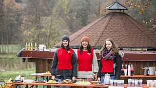 Weit über 900 Teilnehmer waren beim Waldmarathon in Zeil an den Start gegangen.