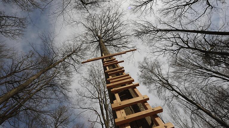 Neue Perspektiven im Wald für die Seele? Der Stadtrat diskutiert, ob die Stadt Dr. Joachim Galuska und seiner Stiftung Bewusstseinswissenschaften einen Pachtvertrag für das Areal anbieten soll.