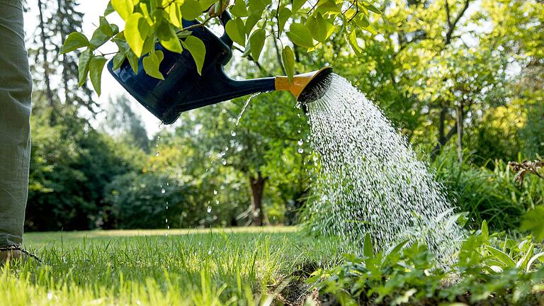 Schwammregionen sollen Regenwasser besser speichern.