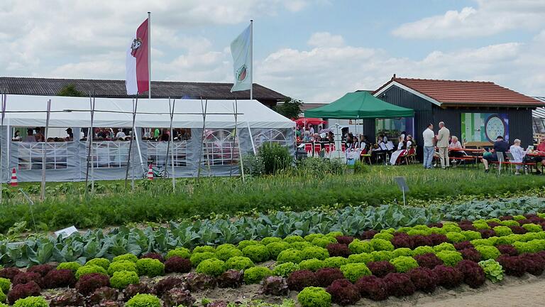 Verschiedene Salate und Gemüse sind im weitläufigen Lehrgarten in Gochsheim zu bewundern. Im Hintergrund steht der neue Info-Pavillon, der mit Mitteln des Bayerischen Staatsministeriums für Ernährung, Landwirtschaft und Forsten und des europäischen Landwirtschaftsfonds für die Entwicklung des ländlichen Raumes gefördert wurde.