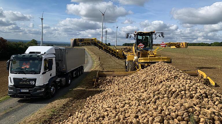 Das Verladen der Zuckerrüben und der Abtransport nach Ochsenfurt und nach Rain am Lech sind abgeschlossen.&nbsp;