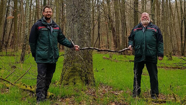 Werner Trabold, langjähriger Revierleiter des Forstreviers Thüngen, übergibt den Staffelstab an seinen Nachfolger Patrick Schelbert. Werner Trabold, langjähriger Revierleiter des Forstreviers Thüngen, übergibt den Staffelstab an seinen Nachfolger Patrick Schelbert.