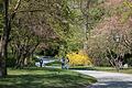 Ob Frühling, Sommer, Herbst oder Winter: Der Ringpark ist zu jeder Jahreszeit einen Besuch wert.&nbsp;