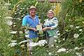 Inmitten eines Blütenmeeres konnte Gerhard Karl die Plakette 'Vogelfreundlicher Garten' aus  den Händen von Katharina Bauer, LBV Kitzingen, entgegennehmen.