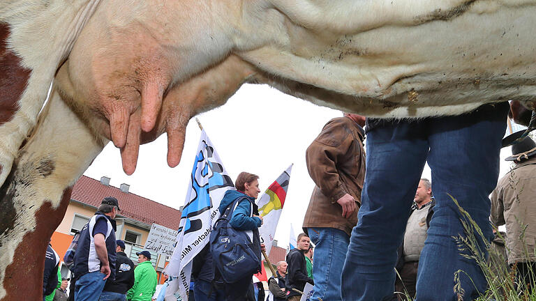 Milchbauern kämpfen um Existenz       -  Milchbauern stehen am 17. Mai bei einer Kundgebung in Neustadt an der Aisch (Mittelfranken) in der Nähe des Wahlkreisbüros von Bundesagrarminister Christian Schmidt hinter einer Kuh. Die Aktion ist der Auftakt einer zwei Wochen andauernden Protestaktion des Bundesverbandes Deutscher Milchviehhalter (BDM) gegen die aktuelle Milchpreispolitik des Ministers.