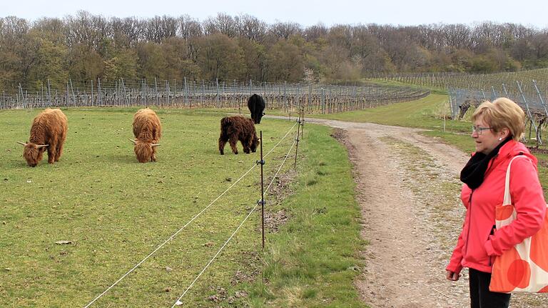 Tierische Begegnungen am Steigerwald-Panoramaweg.