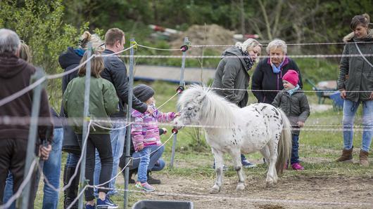 Wenn wir groß sind, reiten wir zusammen ... Wenn wir groß sind, reiten wir zusammen ...
