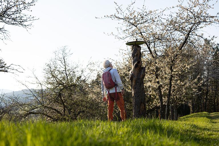 Die Tour führt mitten durch die Natur. Die Tour führt mitten durch die Natur.