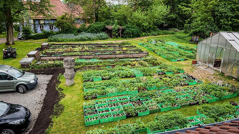 Die Vorbereitungen für den Hohenrother Kräutertag am 5. Mai laufen auf Hochtouren: Über 25.000 Bio-Pflanzen warten auf ein neues Zuhause.