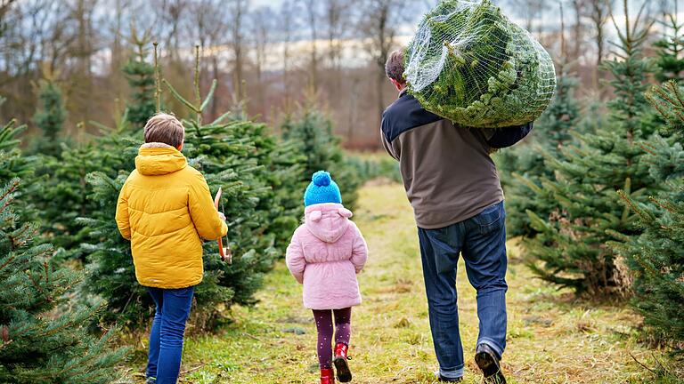 Welcher Baum hat welche Vor- oder Nachteile? Hier gibt es Tipps zum Weihnachtsbaum-Kauf.