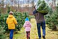 Welcher Baum hat welche Vor- oder Nachteile? Hier gibt es Tipps zum Weihnachtsbaum-Kauf.