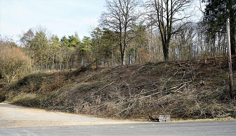 Die Bäume für die Zufahrt zum Parkplatz am Dorfgemeinschaftshaus in Billingshausen hat der Kultur- und Heimatverein bereits gefällt.