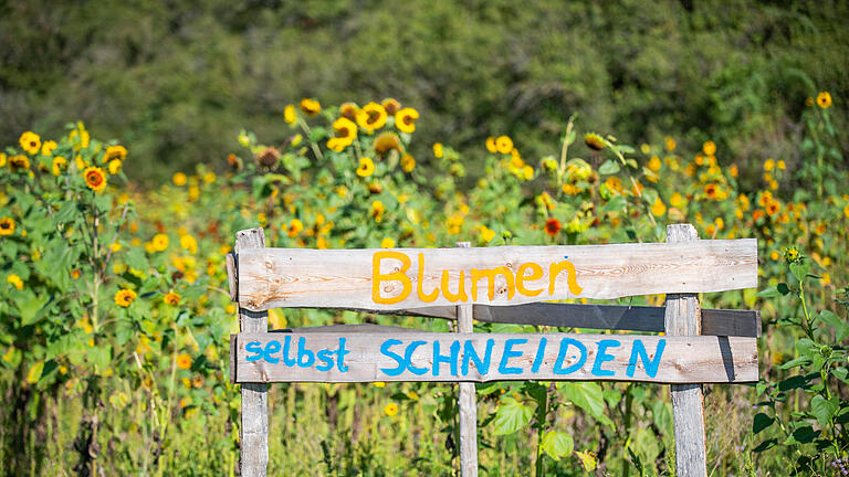 Sommerimpressionen aus dem Landkreis Haßberge.