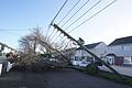 Sturm Eowyn - Irland und Großbritannien       -  Die Insel Irland war besonders schlimm betroffen.