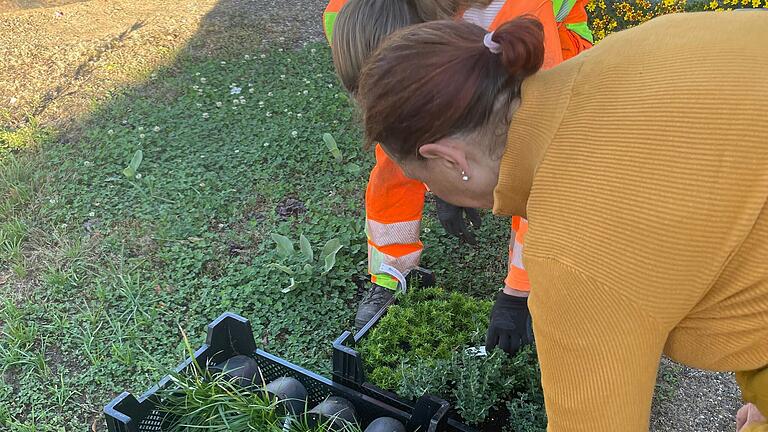 Mitarbeiter des Bauhofs Wiesentheid und Helfer des AK Friedhof bei der Arbeit.