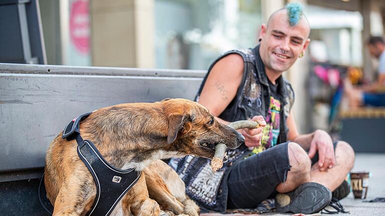 Seit fünf Jahren ist Machete, eine Mischung aus Windhund und belgischem Schäferhund, Smileys treuer Begleiter.&nbsp;