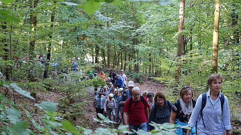 Zwar nicht im Frühtau, aber doch anfangs zu Berge zogen die 52 Teilnehmer des Gemündener Wandertags unter Führung von Elisabeth Schinzel (rechts).